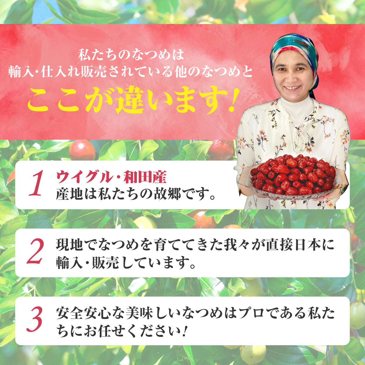 木になるサプリ　大粒なつめ500ｇ