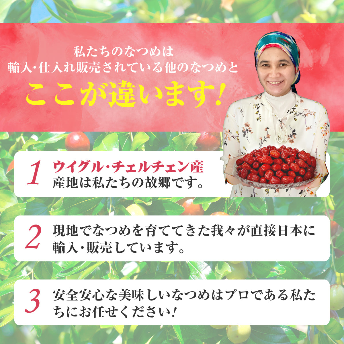 木になるサプリ　なつめ500ｇ