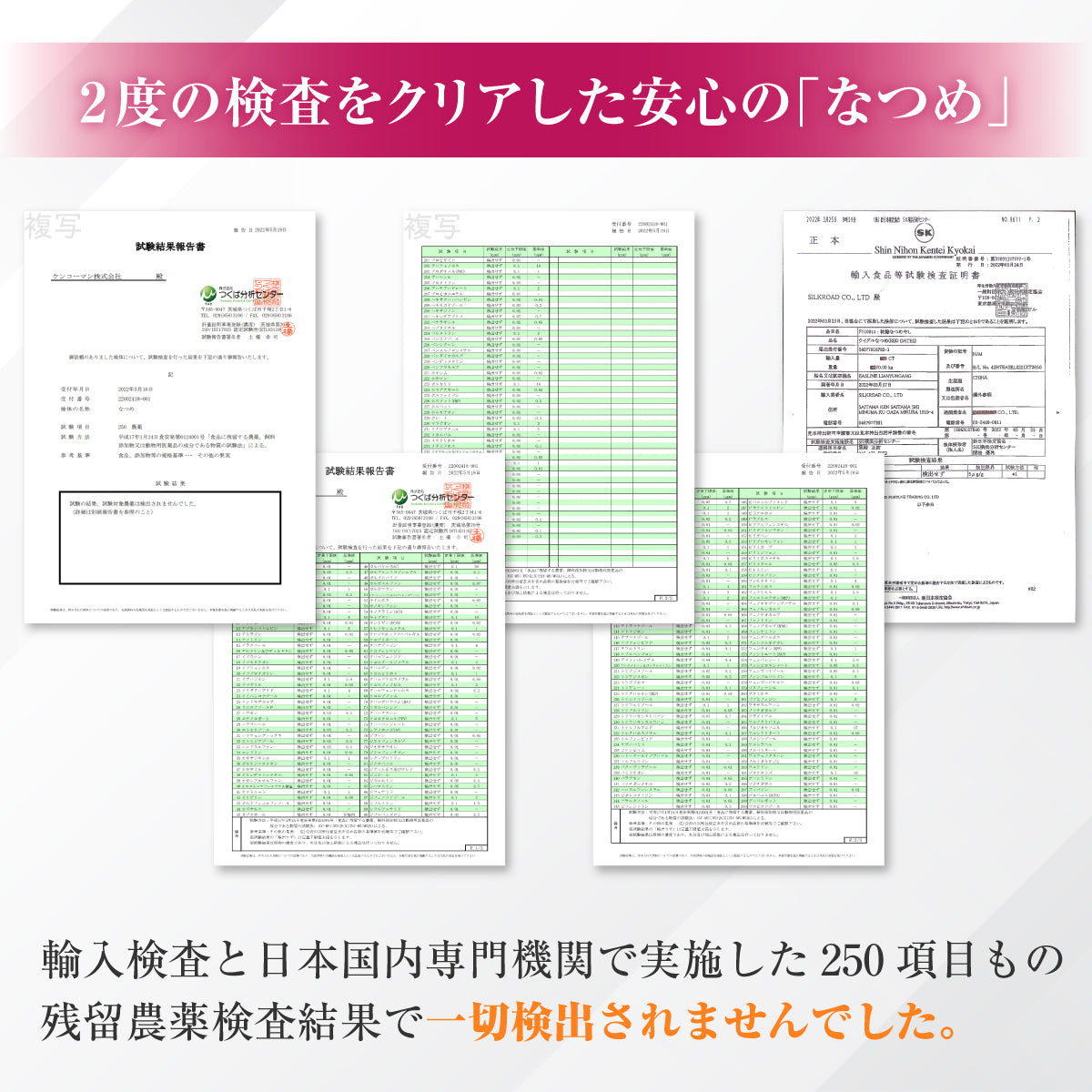 木になるサプリ　なつめ500ｇ