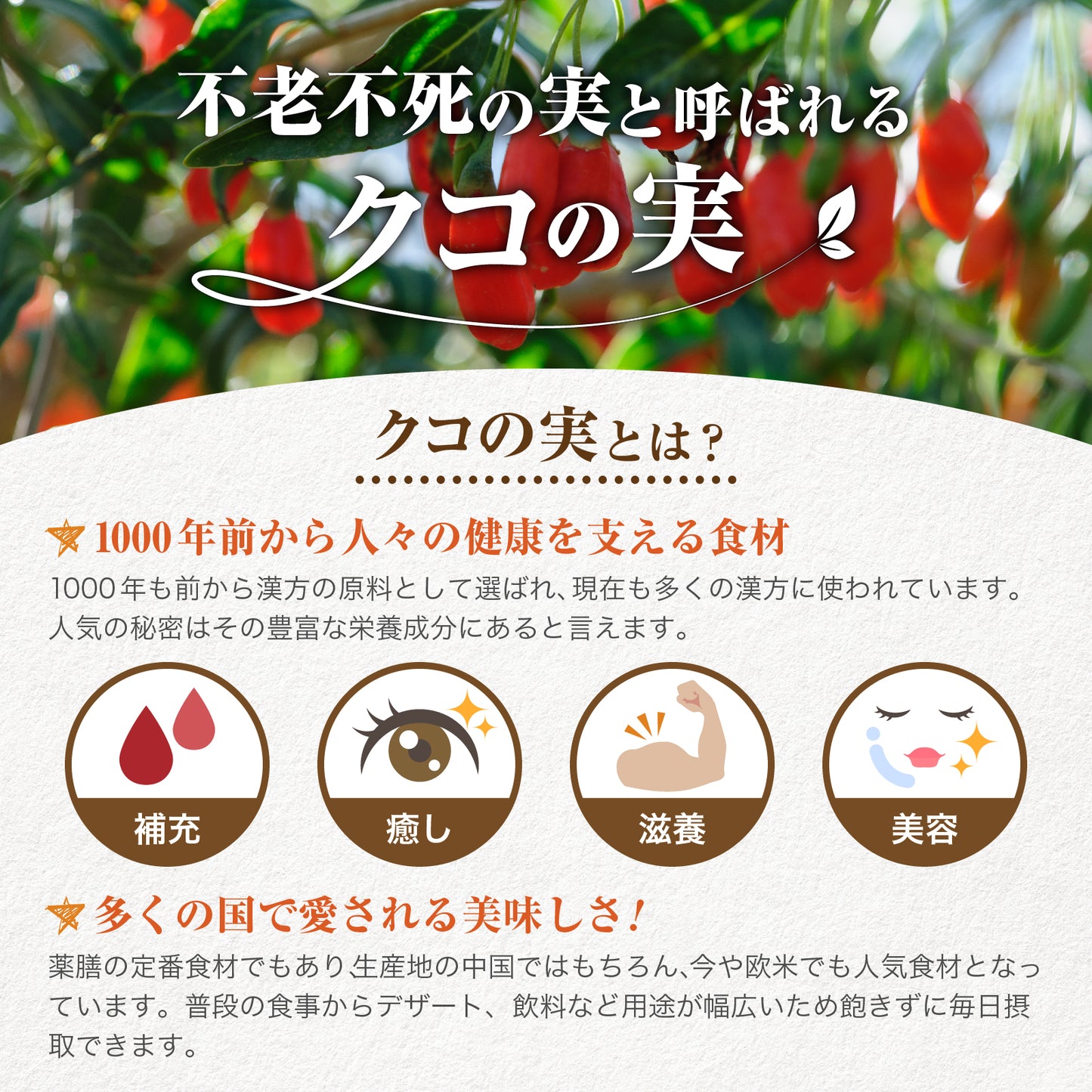 木になるサプリ　有機クコの実500g　